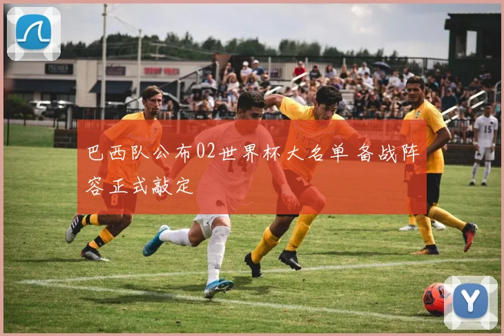 巴西队公布02世界杯大名单 备战阵容正式敲定