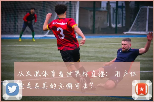 从凤凰体育看世界杯直播：用户体验是否真的无懈可击？